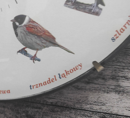 Zegar ścienny Atrix ATE900PP BL SW Ptasi śpiewacy 28 cm