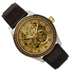 Zegarek Timex Harry Potter x Timex Waterbury Skeleton Automatic TW2Y75500